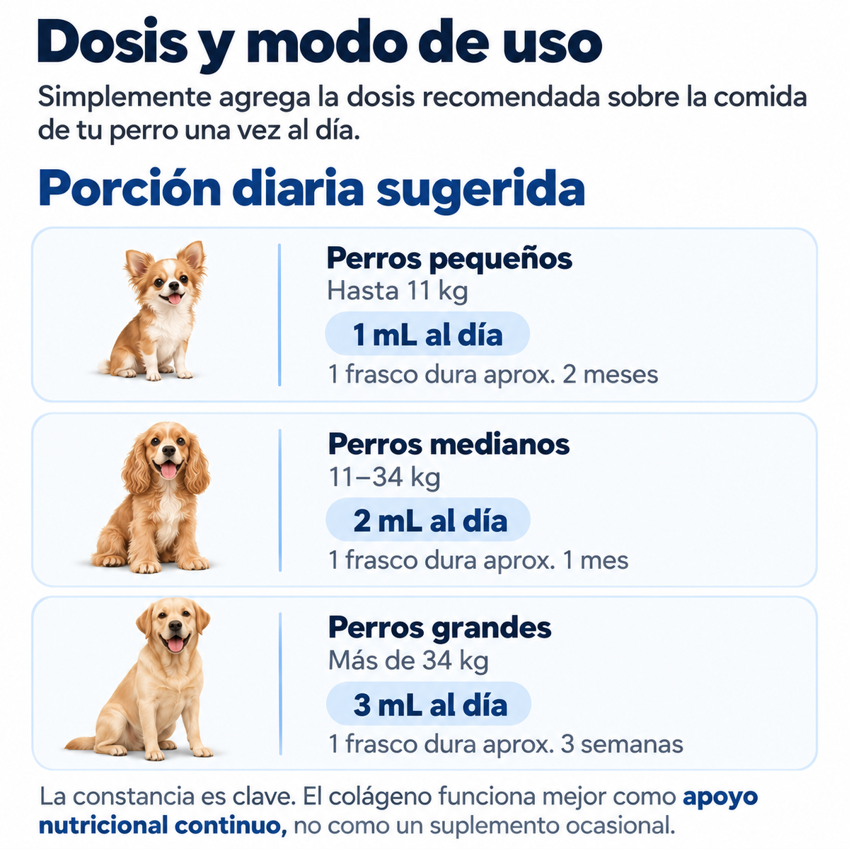 Tu perro no se queja. Sus articulaciones sí se desgastan, desde los 2 años