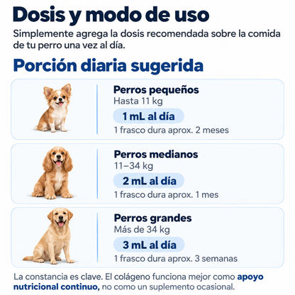 Tu perro no se queja. Sus articulaciones sí se desgastan, desde los 2 años
