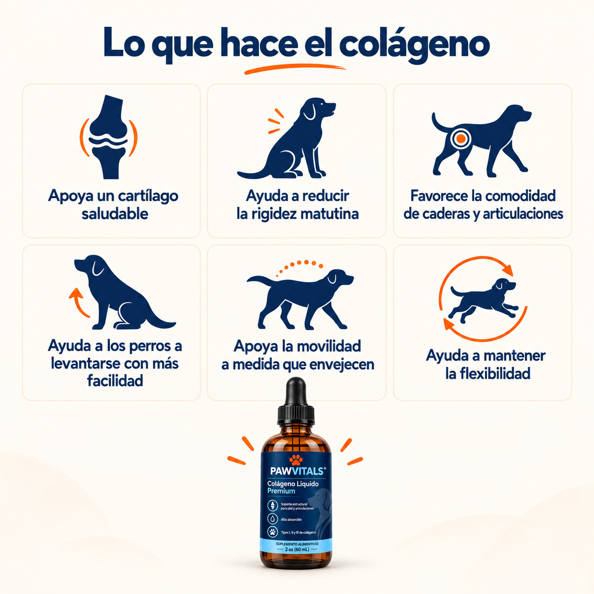 Tu perro no se queja. Sus articulaciones sí se desgastan, desde los 2 años