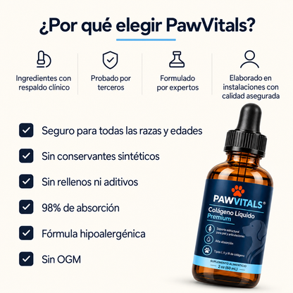 Tu perro no se queja. Sus articulaciones sí se desgastan, desde los 2 años